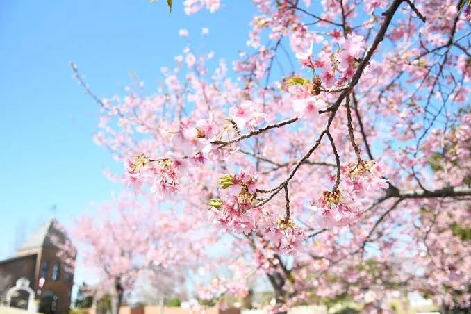 ほっこりーな板付☆