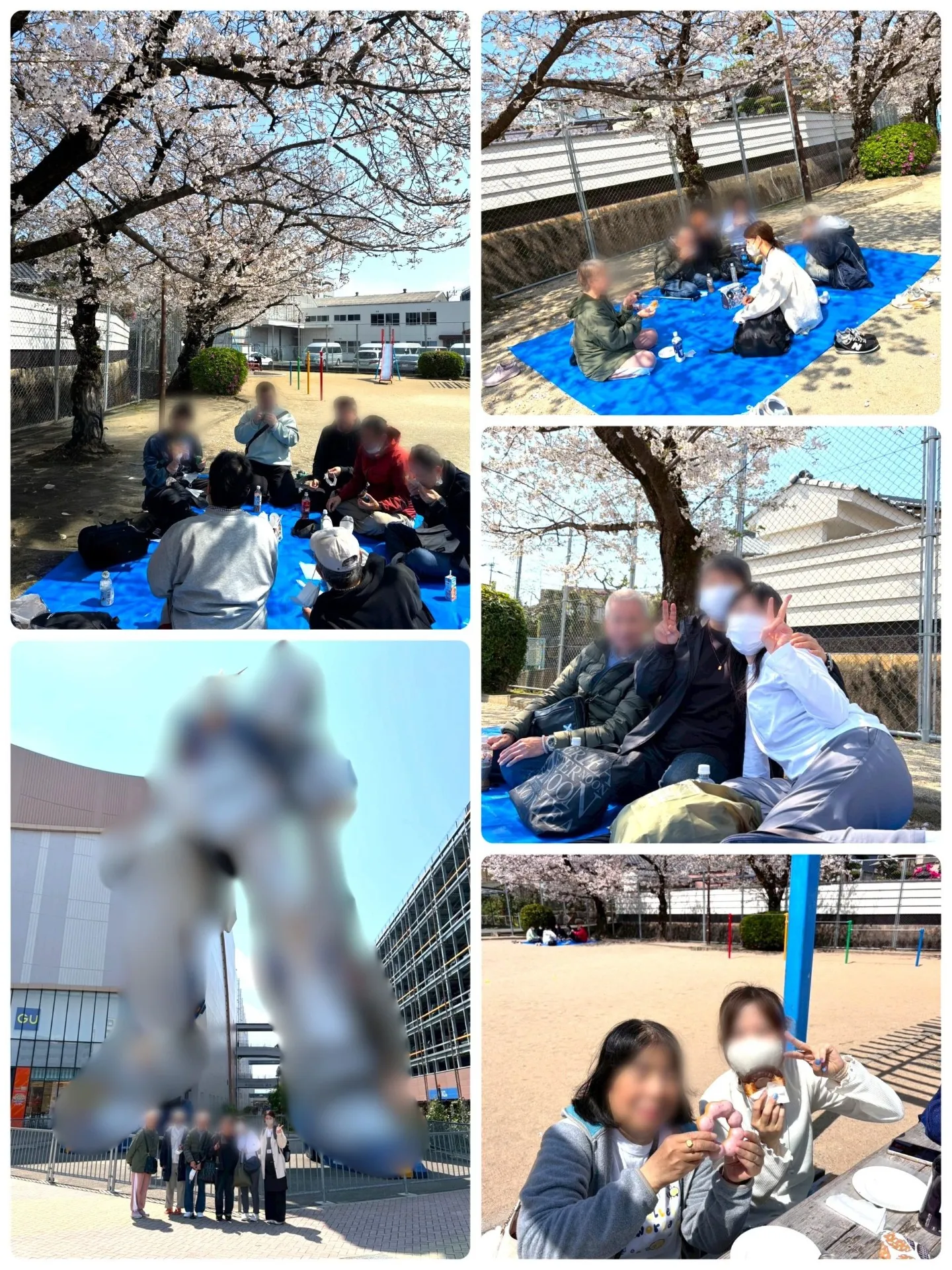 ほっこりーな博多 4月お花見